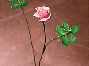 Kokonainen ruusu